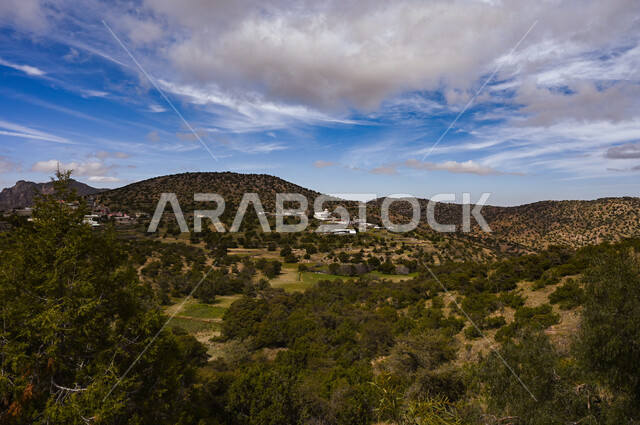 Distinctive mountainous nature views on the plateaus and highlands in the Kingdom of Saudi Arabia, the fertile green mountains of Daqqa in the Shifa area in the city of Taif, the view of white clouds in the sky, interest in afforestation and agriculture