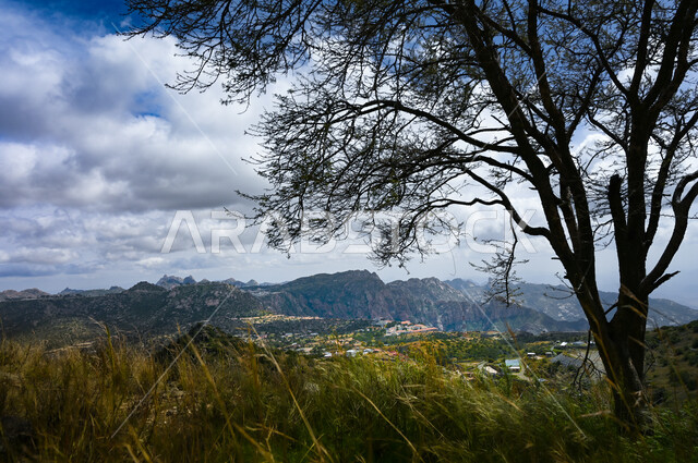 الأشجار والنباتات الخضراء الممتدة، منظر الغيوم البيضاء فوق القرية الجبلية, المدرجات الزراعية في مدينة الطائف في المملكة العربية السعودية, البيوت والمباني السكنية على قمم ومرتفعات جبل دقة في سلسلة جبال الشفا, خلفية الطبيعة