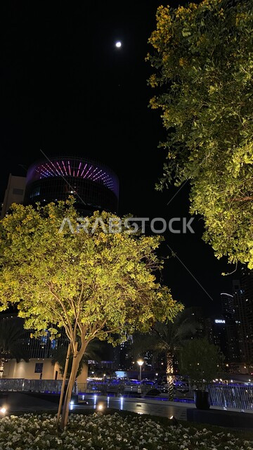 العناية بالمناظر العامة للأماكن في دولة الإمارات العربية المتحدة, الاهتمام بزراعة الأشجار الخضراء والنباتات في المدن السياحية، منظر القمر المكتمل في السماء في الليل, الأبراج والمباني التجارية في إمارة دبي