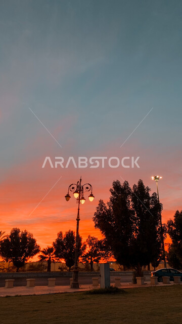 The scene of the orange sky at sunset, taking care of public garden views, landscaping and planting plants in the cities of the Kingdom of Saudi Arabia, a close-up image of a green tree in natural family recreational places, spending quality time in nature and the outdoors, nature background