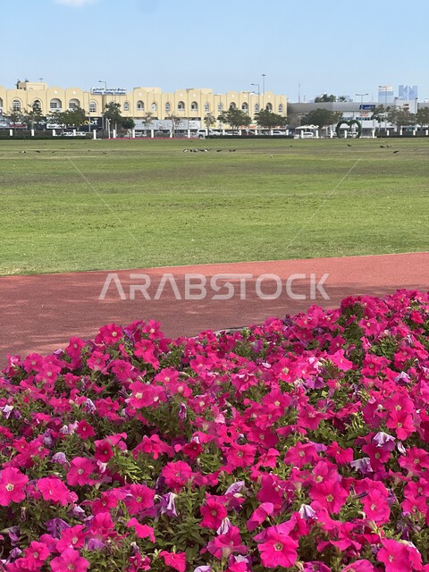 حدائق ونزهات في دولة قطر, الاهتمام بالاشجار والطبيعة الخضراء, اماكن عائلية ترفيهية, حديقة الريان في الدوحة لجذب السياح, قضاء وقت ممتع في الهواء الطلق, الاستمتاع بأزهار الزينة الملونة