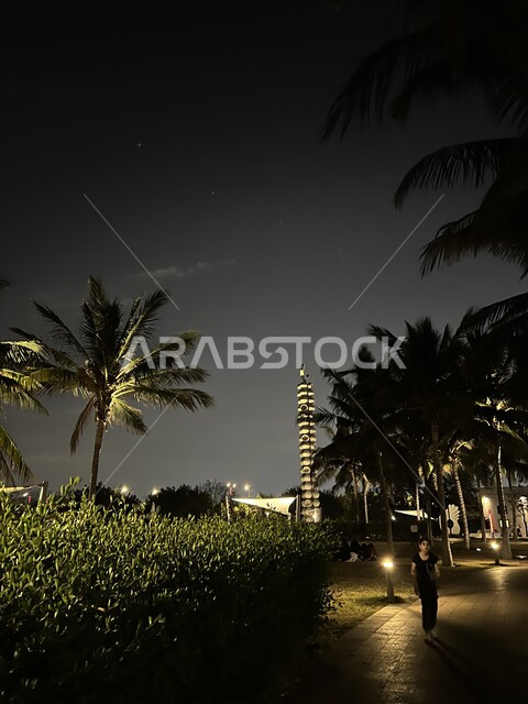 الاستمتاع بالمناظر الليلية الهادئة, الفن الهندسي المعماري للابراج في المملكة, الأفق والمعالم التجارية المشهورة, النمو والتطور العمراني للمنشأت وناطحات السحاب, الاهتمام بالاشجار الخضراء, مدينة جدة المضاءة في الليل