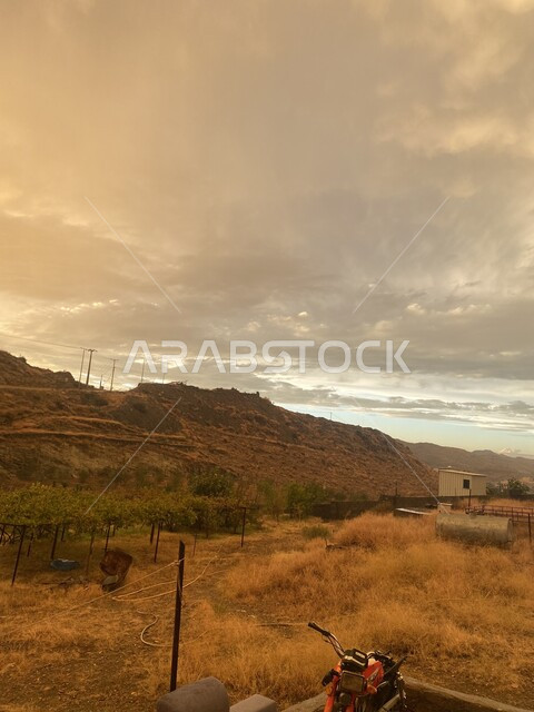 الاستمتاع بالتنقل بين الشوارع الجبلية، الاهتمام بزراعة الاشجار والاعشاب في جبال محافظة الباحة، السماء المليئة بالغيوم والضباب، المناظر الطبيعية في السلاسل الجبلية المرتفعة، أماكن سياحية مشهورة في السعودية