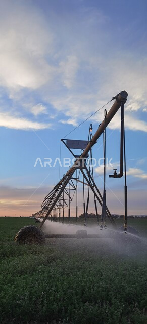 Irrigation machines and equipment in the fields and agricultural lands of the city of Tabuk, the use of modern irrigation methods, interest in agriculture for the growth and development of the economy, local Saudi national agricultural crops, center pivot irrigation arms and modern technical devices.