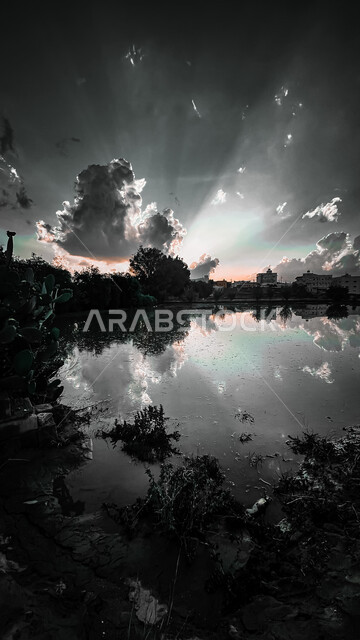 اليئة الطبيعية والأشجار في منطقة عسير في المملكة العربية السعودي عند الغروب، صورة بالأبيض والأسود لانعكاس الطبيعة والغيوم على سطح المياه، منظرالسماء الملية بالسحب في مدينة ابها