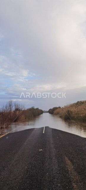 الطرق الاسفلتية المعبدة في المملكة العربية السعودية, الاهتمام في زراعة النباتات , الاستمتاع بالمناظر الطبيعيه في مدينة تبوك ,منظر السماء المليئة بالغيوم البيضاء, خلفية الطبيعه
