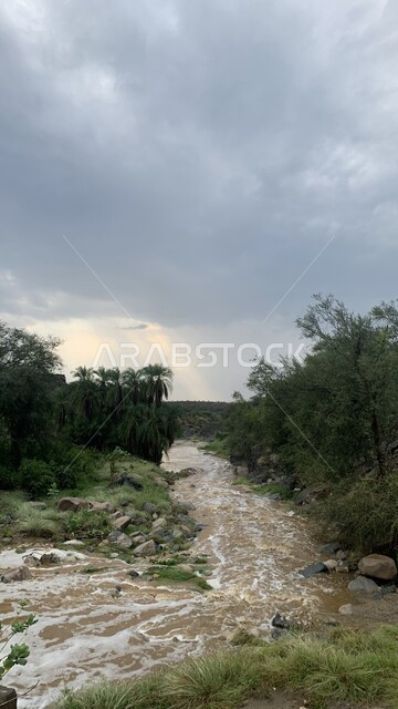 منظر السماء المليئة بالغيوم البيضاء, الاستمتاع بالمناظر الطبيعيه في المملكة العربيه السعودية, نهر من المياه الجارية بين الحجارة الصخرية, الاهتمام في زراعه النباتات والاشجار الخضراء, خلفية الطبيعه