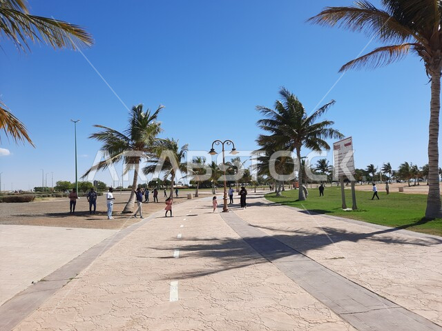 الممرات والأماكن المخصصة للمشي والتجول وممارسة الرياضة على ساحل البحر الاحمر، زراعة أشجار النخيل والنباتات في المدن السياحية, مناطق عائليه ترفيهيه في مدينة ينبع في المملكة العربية السعودية، الحدائق العامة امام شاطئ الهيئة الملكية في منطقة الجار في النهار