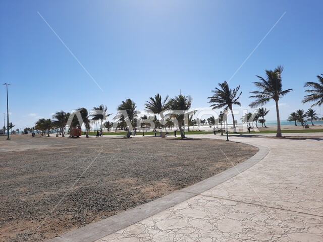 الممرات والأماكن المخصصة للمشي والتجول وممارسة الرياضة على ساحل البحر الاحمر، زراعة أشجار النخيل والنباتات في المدن السياحية, مناطق عائليه ترفيهيه في مدينة ينبع في المملكة العربية السعودية، الحدائق العامة امام شاطئ الهيئة الملكية في منطقة الجار في النهار