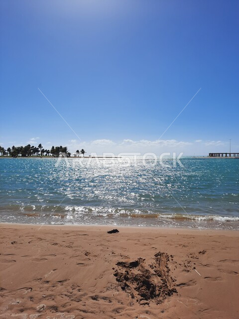 شاطئ الهيئة الملكية في منطقة الجار في النهار، زراعة أشجار النخيل والنباتات الخضراء في المدن السياحية، مناطق وأماكن طبيعية عائليه ترفيهيه على ساحل البحر الاحمر، السواحل الشاطئية والواجهة البحرية في مدينة ينبع في المملكة العربية السعودية