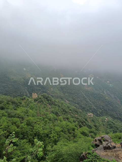 الأشجار والنباتات الخضراء المزروعة على سفوح الجبال, الاستمتاع بالمناظر الطبيعية في الأماكن السياحية في المملكة العربية السعودية، الغيوم والأجواء الضبابية فوق القمم والمرتفعات الجبلية في محافظة فيفاء، المدرجات الزراعية في مدينة جازان