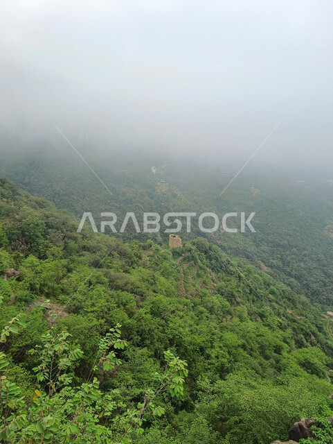 الغيوم والأجواء الضبابية فوق القمم والمرتفعات الجبلية في محافظة فيفاء, المدرجات الزراعية في مدينة جازان، الأشجار والنباتات الخضراء المزروعة على سفوح الجبال, الاستمتاع بالمناظر الطبيعية في الأماكن السياحية في المملكة العربية السعودية