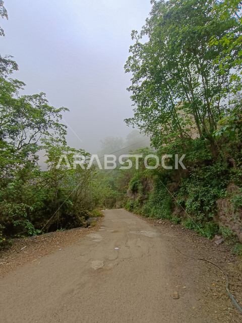 طريق اسفلتي معبد بين الأشجار والنباتات الخضراء المزروعة على سفوح الجبال، المدرجات الزراعية في مدينة جازان، الاستمتاع بالمناظر الطبيعية في الأماكن السياحية في المملكة العربية السعودية، الغيوم والأجواء الضبابية فوق القمم والمرتفعات الجبلية في محافظة فيفاء