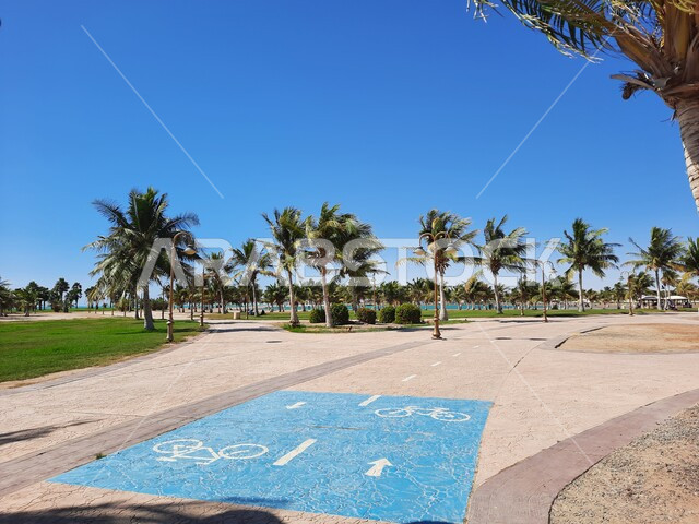Public gardens and parks in front of the Royal Commission Beach in the Al Jar area during the day, green lands for sitting and enjoying on the Red Sea coast, interest in planting palm trees and plants in tourist cities, family entertainment areas and places in the city of Yanbu in the Kingdom of Saudi Arabia.