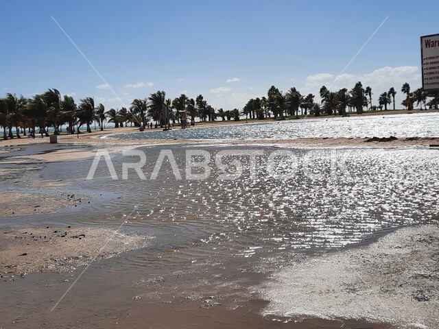 شاطئ الهيئة الملكية في منطقة الجار في النهار، زراعة أشجار النخيل والنباتات الخضراء في المدن السياحية، مناطق وأماكن طبيعية عائليه ترفيهيه على ساحل البحر الاحمر، السواحل الشاطئية والواجهة البحرية في مدينة ينبع في المملكة العربية السعودية