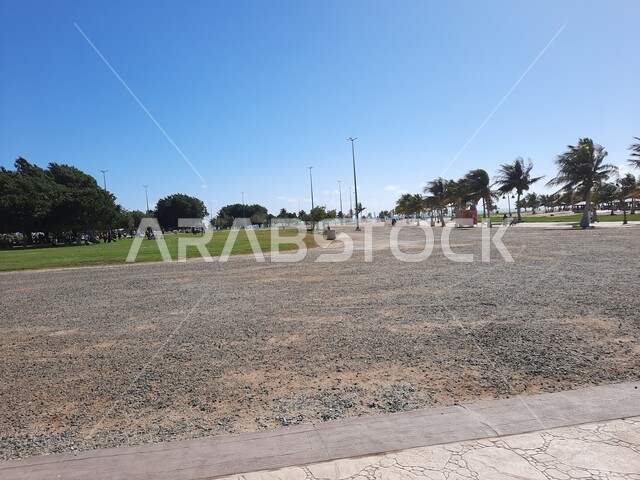 الممرات والأماكن المخصصة للمشي والتجول وممارسة الرياضة على ساحل البحر الاحمر، زراعة أشجار النخيل والنباتات في المدن السياحية, مناطق عائليه ترفيهيه في مدينة ينبع في المملكة العربية السعودية، الحدائق العامة امام شاطئ الهيئة الملكية في منطقة الجار في النهار