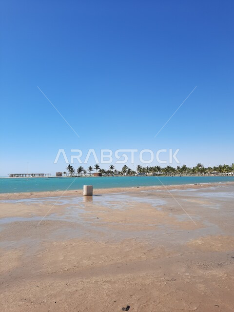 شاطئ الهيئة الملكية في منطقة الجار في النهار، زراعة أشجار النخيل والنباتات الخضراء في المدن السياحية، مناطق وأماكن طبيعية عائليه ترفيهيه على ساحل البحر الاحمر، السواحل الشاطئية والواجهة البحرية في مدينة ينبع في المملكة العربية السعودية