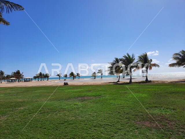 الحدائق العامة والمنتزهات امام شاطئ الهيئة الملكية في منطقة الجار في النهار، الأراضي الخضراء للجلوس والاستمتاع على ساحل البحر الاحمر، الاهتمام بزراعة أشجار النخيل والنباتات في المدن السياحية, مناطق وأماكن عائليه ترفيهيه في مدينة ينبع في المملكة العربية السعودية