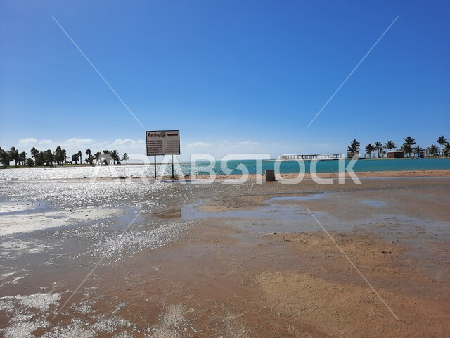 لافتات التنبيه والإرشاد على شاطئ الهيئة الملكية في منطقة الجار في النهار، زراعة أشجار النخيل والنباتات الخضراء في المدن السياحية، مناطق وأماكن طبيعية عائليه ترفيهيه على ساحل البحر الاحمر، السواحل الشاطئية والواجهة البحرية في مدينة ينبع في المملكة العربية السعودية