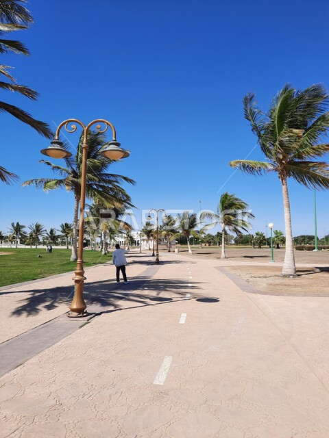 الممرات والأماكن المخصصة للمشي والتجول وممارسة الرياضة على ساحل البحر الاحمر، زراعة أشجار النخيل والنباتات في المدن السياحية, مناطق عائليه ترفيهيه في مدينة ينبع في المملكة العربية السعودية، الحدائق العامة امام شاطئ الهيئة الملكية في منطقة الجار في النهار