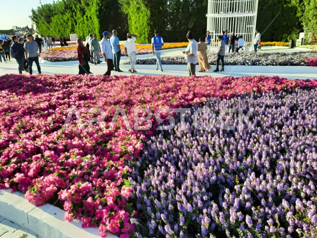 وجهه عائلية بيئية ثقافية وترفيهية، سجادة الأزهار الملونة في مهرجان الورود والحدائق، الحفاظ على البيئة والتنمية المستدامة، معارض ومهرجانات طبيعية سياحية في المملكة العربية السعودية، الديكورات والتصاميم في حديقة المناسبات بمدينة ينبع الصناعية