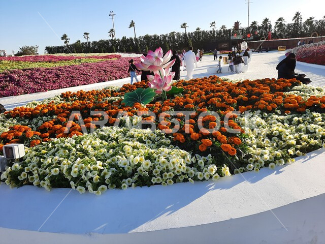 الديكورات والتصاميم في حديقة المناسبات بمدينة ينبع الصناعية، مهرجانات و معارض طبيعية سياحية في المملكة العربية السعودية، الحفاظ على البيئة والتنمية المستدامة، وجهه عائلية بيئية ثقافية وترفيهية، الورود والأزهار الملونة في مهرجان الورود والحدائق