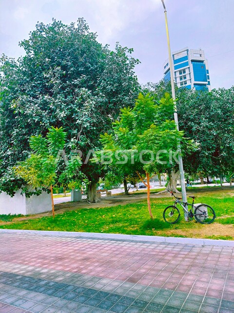 الاستمتاع بالمناظر لطبيعية، العناية بالمظهر الخارجي للحدائق، الاهتمام بزراعة الاشجار و النباتات الخضراء، دراجة على الرصيف بحديقة كورنيش البحرين، الانشطة العائلية و الشبابية الترفيهية