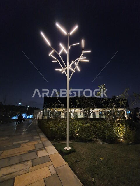 الاهتمام بإضاءة وإنارة الحدائق والمنتزهات العامة دولة الكويت، حديقة الشهيد في منطقة الكويت الثقافية الوطنية الجديدة، أماكن ومناطق عائلية للتنزه والترفيه والمتعة، منظر المروج الخضراء والأشجار والبيئة الطبيعية في الليل