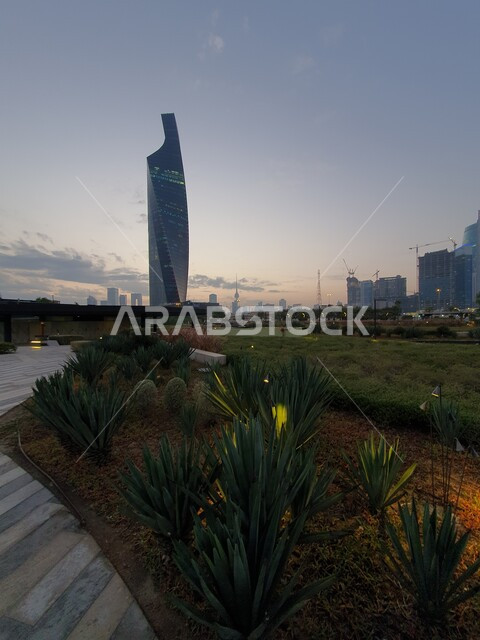 منظر المروج الخضراء والأشجار والبيئة الطبيعية في النهار، الحدائق والمنتزهات العامة في دولة الكويت، برج التجارية المطل على حديقة الشهيد في منطقة الكويت الثقافية الوطنية الجديدة، الاهتمام بإضاءة وإنارة المناطق والأماكن العائلية للتنزه والمتعة، ممرات المشي والتجول