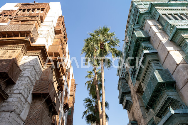 النوافذ والرواشين والأبواب المصنوعة من الخشب، مناطق أثرية شعبية مشهورة في المملكة العربية السعودية, المباني التراثية في مدينة جدة التاريخية في النهار، البناء الهندسي المعماري على النمط القديم، الاهتمام بزراعة أشجار النخيل الخضراء والنباتات في المدن السياحية