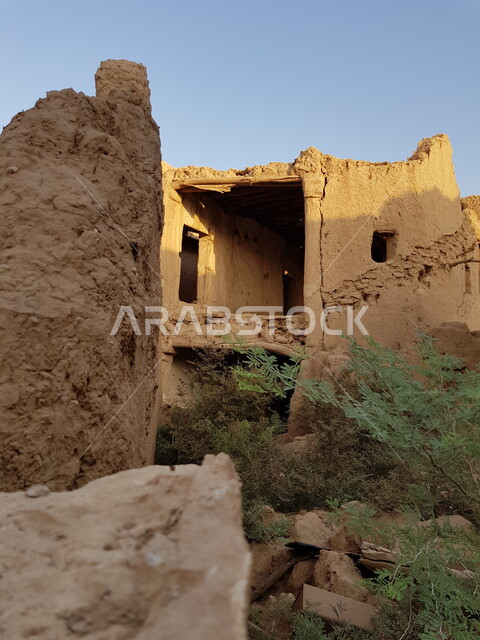 مناطق ومعالم تاريخية اثرية في مدينة الرياض، نمو الأشجار الطبيعية والنباتات الخضراء في المدن السياحية في المملكة العربية السعودية، البيوت والمباني الطينية التراثية المهدمة في البلدة القديمة في النهار، فن العمارة القديم في قرية جلاجل في محافظة المجمعة