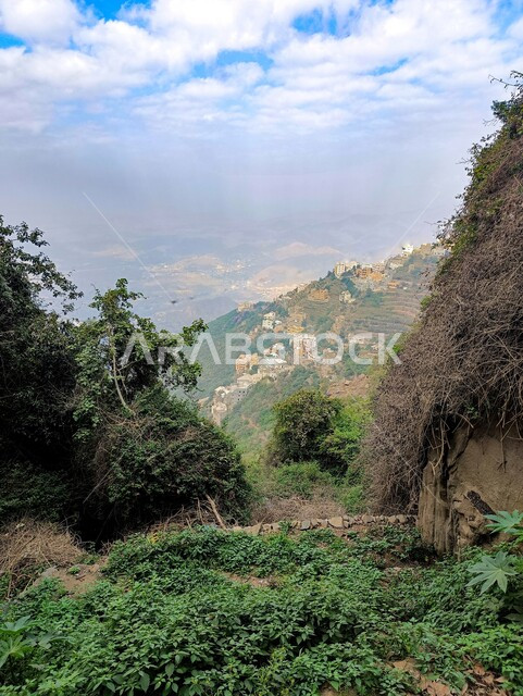 الأشجار والنباتات الخضراء على سفوح الجبال، المعالم الاثرية التاريخية على القمم والمرتفعات الجبلية في مدينة جازان، المباني القديمة في محافظة فيفاء في المملكة العربية السعودية، خلفية الطبيعة