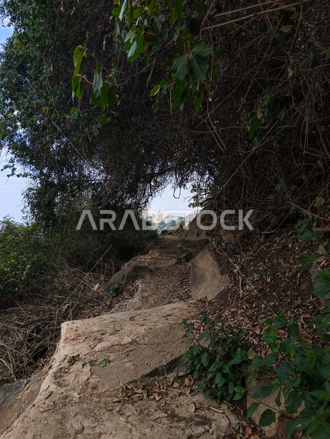 الاستمتاع بالمناظر الطبيعية وقضاء الوقت الممتع والهادئ, المدرجات الزراعية على القمم والمرتفعات الجبلية في مدينة جازان, أماكن ومعالم السياحة المشهورة, صورة مقربة لدرج صخري قديم في محافظة فيفاء بالمملكة العربية السعودية, الاشجار والنباتات الخضراء على سفوح الجبال