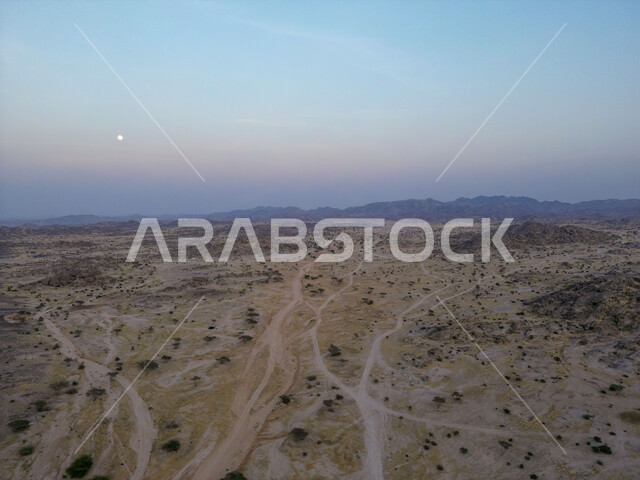 المناظر الطبيعية في المناطق النائية، نمو النباتات الخضراء والأعشاب البرية في الأراضي الصحراوية، صورة جوية للبراري والصحراء في المملكة العربية السعودية، خلفية الطبيعة