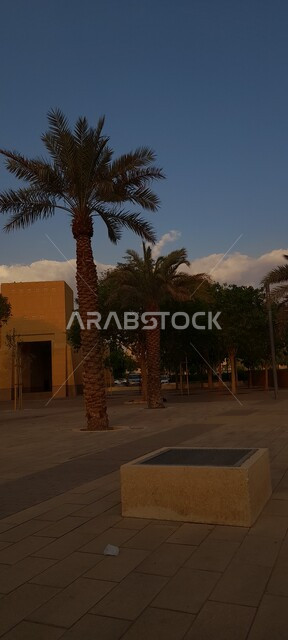 المرافق والخدمات العامة والتشجير في العاصمة, المركز التجاري والسياسي في المملكة العربية السعودية, منبى المحكمة العامة في منطقة قصر الحكم في مدينة الرياض, معالم سياسية وتجارية مشهورة