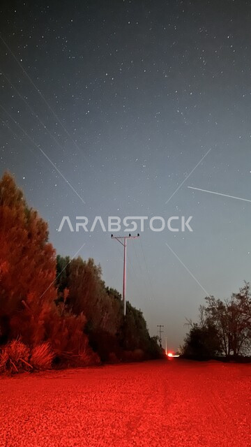 منظر مجرة درب التبانة في السماء والنجوم اللامعة في الليل، النجوم الامعة في السماء، طريق اسفلتي في المناطق الصحراوية، اماكن سياحية طبيعية في المملكة العربية السعودية، الاشجار والنباتات الخضراء في المدن السياحية