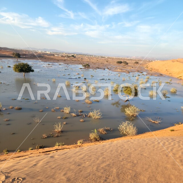 نمو النباتات الخضراء والأعشاب البرية في الأراضي الصحراوية، المسطحات المائية والبحيرات الطبيعية في ولاية بديه، البراري والصحراء في سلطنة عمان، المناظر الطبيعية في المناطق النائية، خلفية الطبيعة