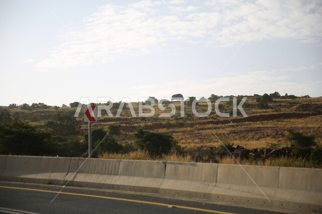 Grasses, weeds and plants, rock formations and formations, public roads and streets, the city of Abha in the Kingdom of Saudi Arabia, cities and natural tourist places, mountain peaks and heights, agricultural lands and wide green spaces.