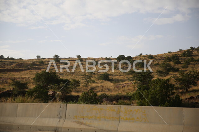 السماء المليئة بالغيوم البيضاء، التكوينات والتشكيلات الصخرية، مدينة ابها في المملكة العربية السعودية، مدن وأماكن سياحية طبيعية، القمم والمرتفعات الجبلية، الأراضي الزراعية والمساحات الخضراء الواسعة، الأعشاب و الحشائش والنباتات