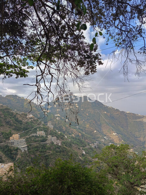 التشكلات الصخرية والمدرجات الزراعية في المملكة العربية السعودية، البيوت على القمم والمرتفعات الجبلية في محافظة فيفاء، سفوح الجبال في مدينة جازان، الأشجار والنباتات الخضراء، خلفية الطبيعة