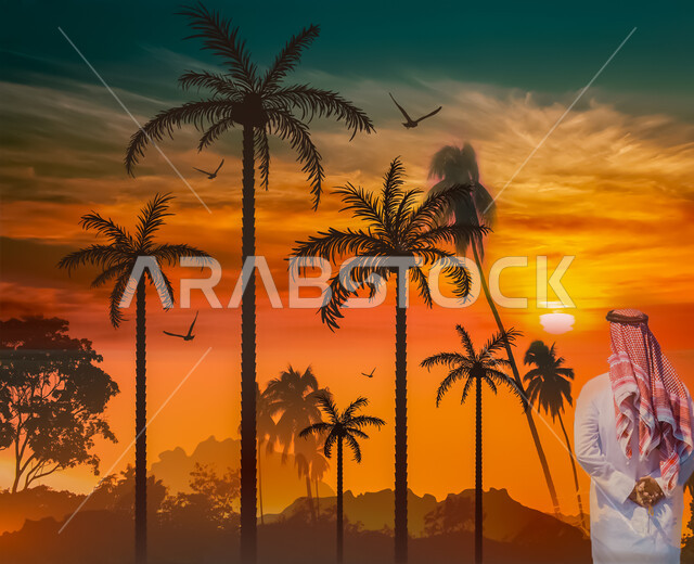 الاستمتاع بأوقات الفراغ في المناظر الطبيعيه, صورة من الخلف لرجل عربي خليجي سعودي يرتدي الزي التقليدي يضع يديه خلف ظهره وينظر الى أشجار النخيل وقت غروب الشمس, مفهوم التامل والهدوء و الاسترخاء, خلفية الطبيعه