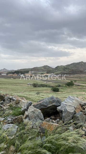  المناطق البرية والبيئة الصخرية في السعودية، زراعة الاشجار والنباتات الخضراء، الهضاب والمرتفعات الجبلية في أراضي المملكة، الأجواء الربيعية الهادئة، خلفية الطبيعة