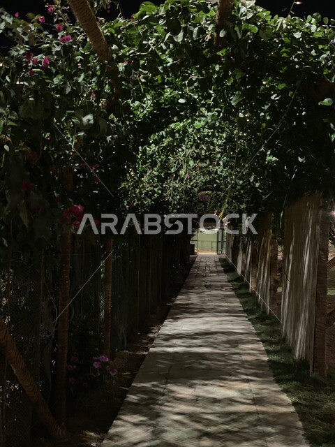 ممر وممشى بين الشجر والمناظر الطبيعية في محمية الشبعة في محافظة حوطة بني تميم في الليل، المناطق السياحية في المملكة العربية السعودية، اماكن عائلية ترفيهيه ممتعة، قضاء وقت ممتع في الحدائق والمحميات الطبيعية