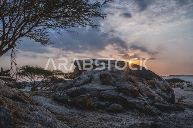 A view of clouds in the sky and bare trees, a shot of sunrise on Mount Moon near the city of Asfan in Jeddah Governorate, tourist places in the Kingdom of Saudi Arabia, nature backgrounds