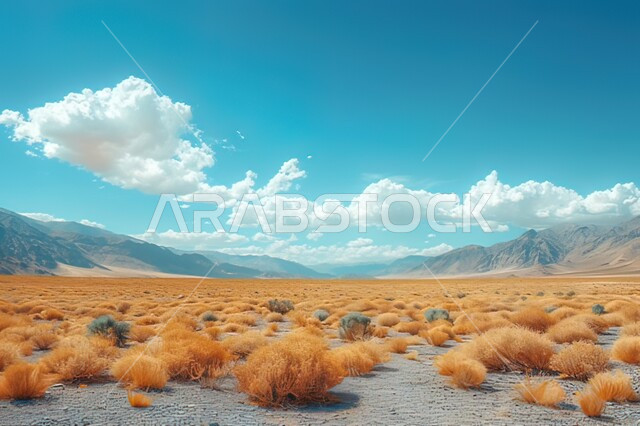 منظر الغيوم والسحب البيضاء في السماء، المناظر الطبيعية في الاراضي النائية الجرداء، نمو الاعشاب والنباتات البرية اليابسة والصفراء في المناطق الصحراوية، القمم والجبال والمرتفعات الصخرية في صحاري المملكة العربية السعودية، خلفية الطبيعة