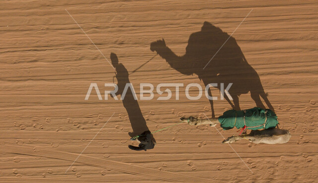 Using animals to move from one place to another, an aerial photo of two camels walking behind a man in the Saudi desert, the concept of raising camels and livestock