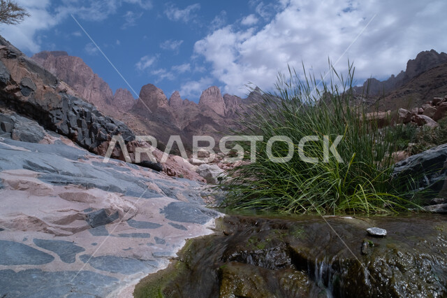 التضاريس في القمم الصخرية المرتفعة, أماكن جذب الزوار من شتى أنحاء العالم, قرية ينبع النخل التاريخية في محافظة ينبع بالمملكة العربية السعودية ، ​معالم أثرية مشهورة, مناطق الرحلات السياحية وقضاء الوقت الممتع, المناظر الطبيعية بخلفية من المرتفعات الجبلية