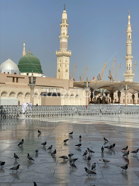 تجمع الحمام والطوير تحت المظلات الالكترونية لساحات المسجد النبوي الشريف في النهار، ديكورات وتصاميم على الطراز الاسلامي، آداء الصلوات في الحرم النبوي في المدينه المنوره, العبادة والتقرب الى الله، أماكن ومعالم دينية مقدسة في السعودية