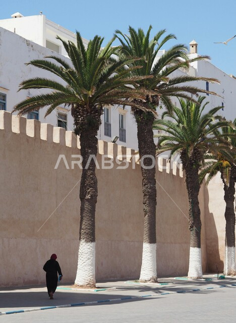 جدار طيني عريق في المدينة المنورة في النهار، الاهتمام بالتشجير وزراعة الأشجار والنباتات الخضراء في المدن، أشجار النخيل على الرصيف في الطرق، اسلوب ونمط الحياه في المدينة، اماكن سياحية في المملكة العربية السعودية