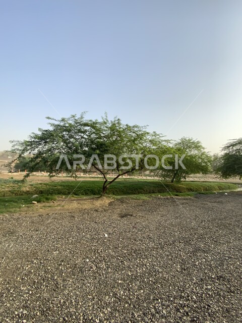 الحقول والأراضي الزراعية، الأشجار الخضراء والتربة الخصبة، منتزه وادي حنيفة في مدينة الرياض بالمملكة العربية السعودية ، المناظر الطبيعية المتميزة